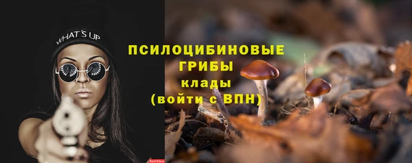 ешки Новокубанск